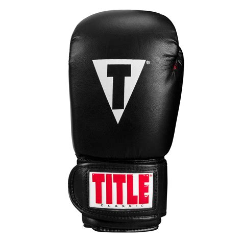 title boxing training gloves